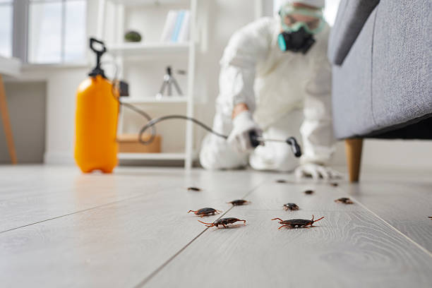 Commercial Kitchen Cockroach Control in West Islip